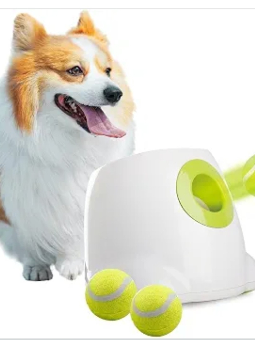 ALL FOR PAWS Automatic Dog Ball Launcher 3 Modes w/ 3 2-Inch Balls